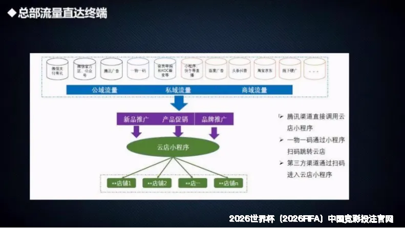 核心团队与专业资质